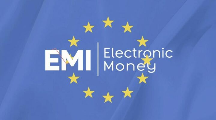 An established EU regulated financial institution