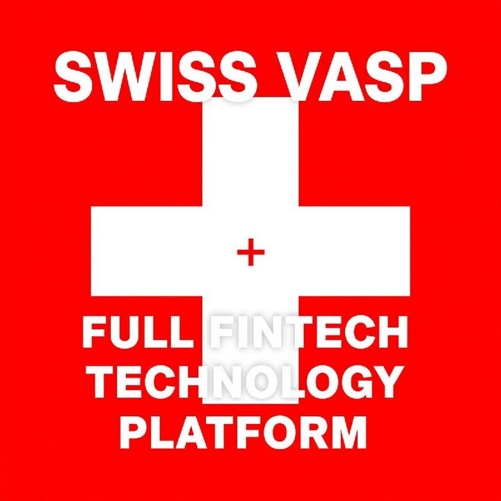 FOR SALE/ STRATEGIC INVESTMENT: SWISS VASP + FINTECH PLATFORM