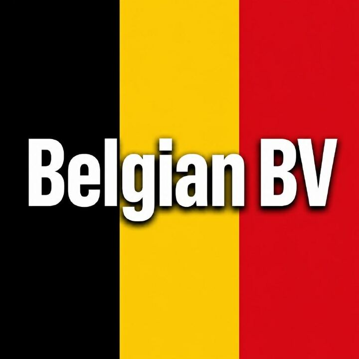 Belgian BV Available for Sale